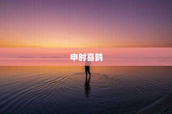 申时喜鹊