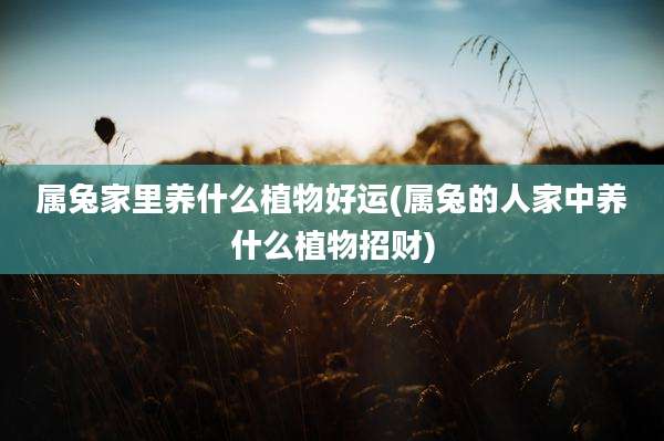 属兔家里养什么植物好运(属兔的人家中养什么植物招财)