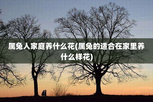属兔人家庭养什么花(属兔的适合在家里养什么样花)