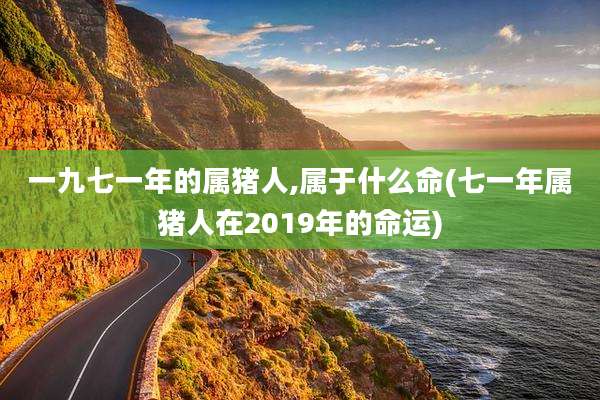 一九七一年的属猪人,属于什么命(七一年属猪人在2019年的命运)