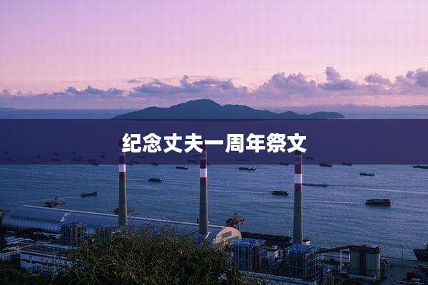 纪念丈夫一周年祭文