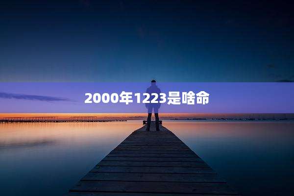 2000年1223是啥命
