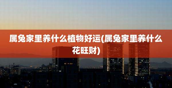 属兔家里养什么植物好运(属兔家里养什么花旺财)