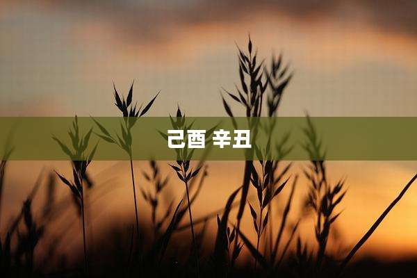 己酉 辛丑