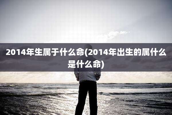2014年生属于什么命(2014年出生的属什么是什么命)