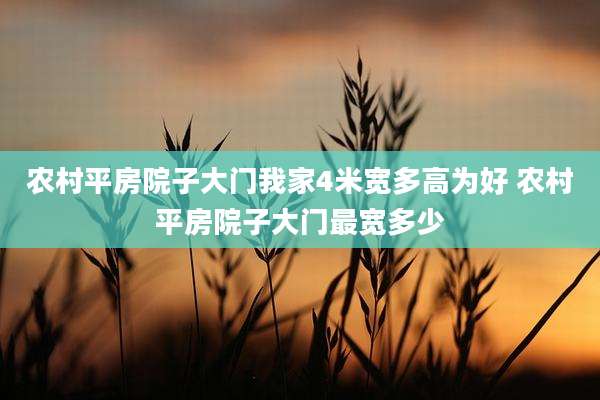 农村平房院子大门我家4米宽多高为好 农村平房院子大门最宽多少