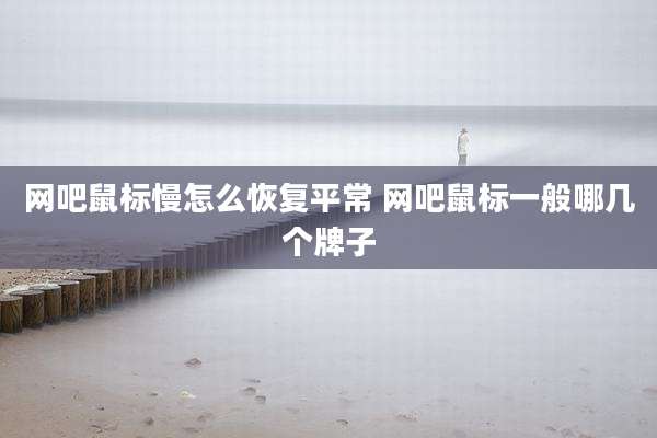 网吧鼠标慢怎么恢复平常 网吧鼠标一般哪几个牌子