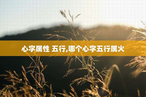 心字属性 五行,哪个心字五行属火