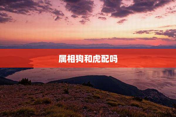 属相狗和虎配吗