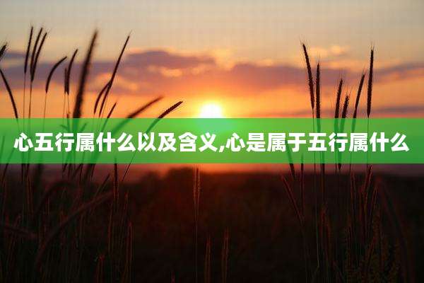 心五行属什么以及含义,心是属于五行属什么