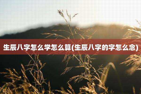 生辰八字怎么学怎么算(生辰八字的字怎么念)