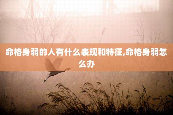 命格身弱的人有什么表现和特征,命格身弱怎么办