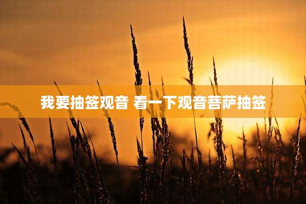我要抽签观音 看一下观音菩萨抽签