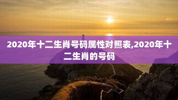 2020年十二生肖号码属性对照表,2020年十二生肖的号码