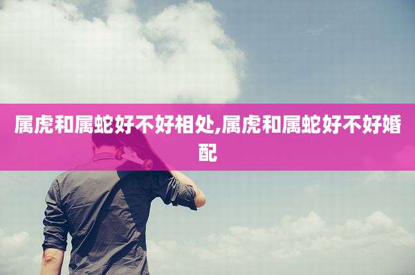 属虎和属蛇好不好相处,属虎和属蛇好不好婚配