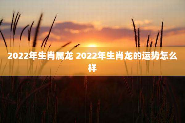 2022年生肖属龙 2022年生肖龙的运势怎么样