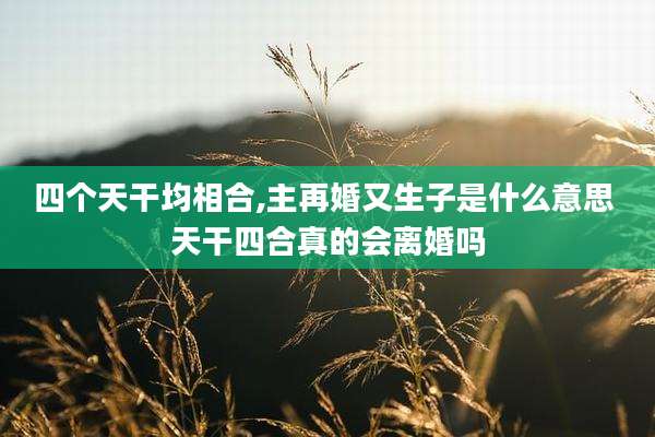 四个天干均相合,主再婚又生子是什么意思 天干四合真的会离婚吗