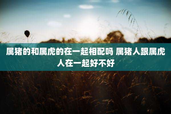 属猪的和属虎的在一起相配吗 属猪人跟属虎人在一起好不好