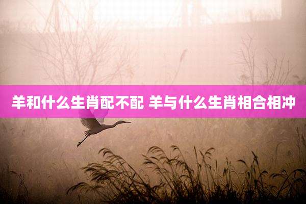 羊和什么生肖配不配 羊与什么生肖相合相冲