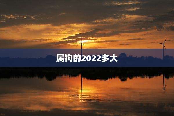 属狗的2022多大