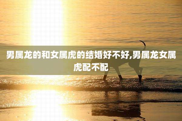 男属龙的和女属虎的结婚好不好,男属龙女属虎配不配