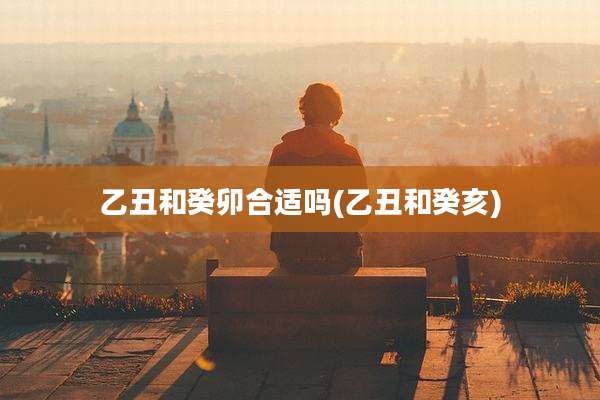 乙丑和癸卯合适吗(乙丑和癸亥)
