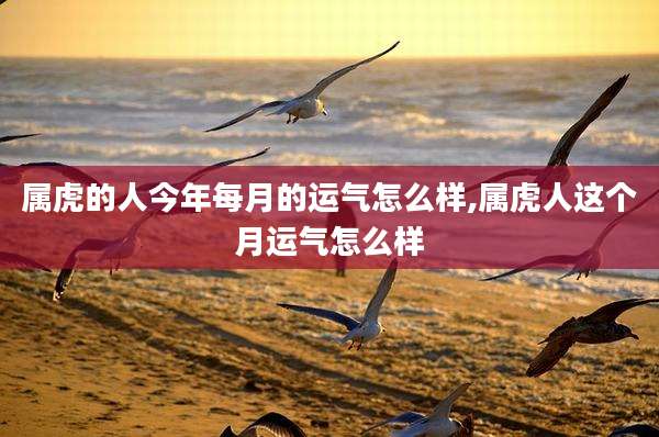 属虎的人今年每月的运气怎么样,属虎人这个月运气怎么样