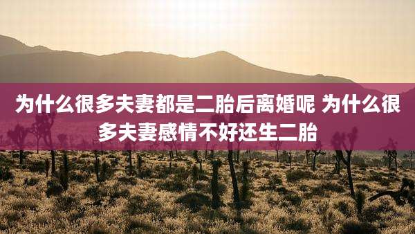 为什么很多夫妻都是二胎后离婚呢 为什么很多夫妻感情不好还生二胎