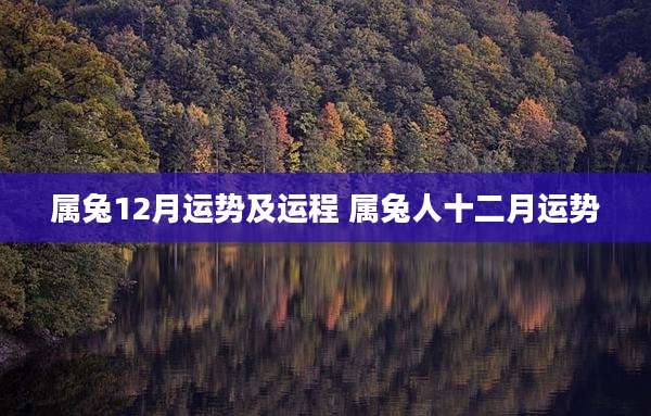 属兔12月运势及运程 属兔人十二月运势
