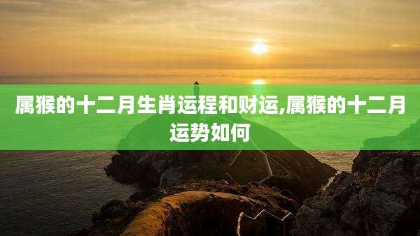 属猴的十二月生肖运程和财运,属猴的十二月运势如何