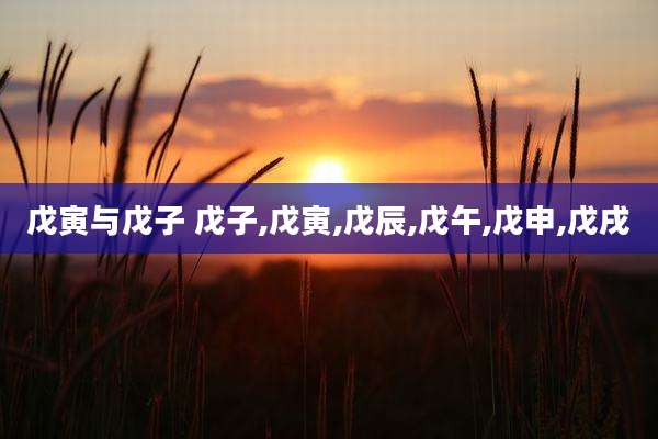 戊寅与戊子 戊子,戊寅,戊辰,戊午,戊申,戊戌