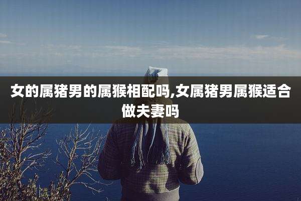 女的属猪男的属猴相配吗,女属猪男属猴适合做夫妻吗