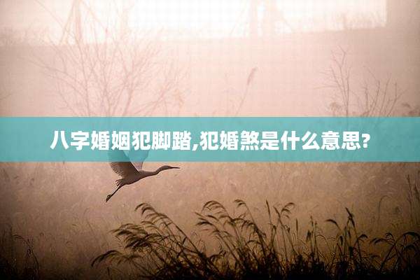 八字婚姻犯脚踏,犯婚煞是什么意思?