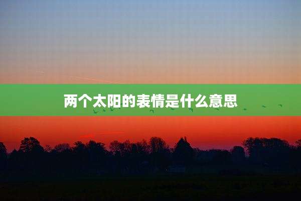 两个太阳的表情是什么意思