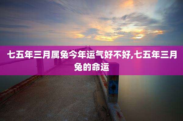 七五年三月属兔今年运气好不好,七五年三月兔的命运