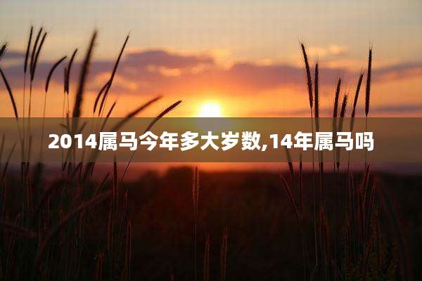 2014属马今年多大岁数,14年属马吗