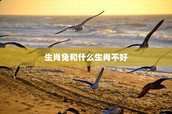 生肖兔和什么生肖不好