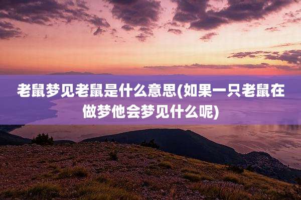 老鼠梦见老鼠是什么意思(如果一只老鼠在做梦他会梦见什么呢)