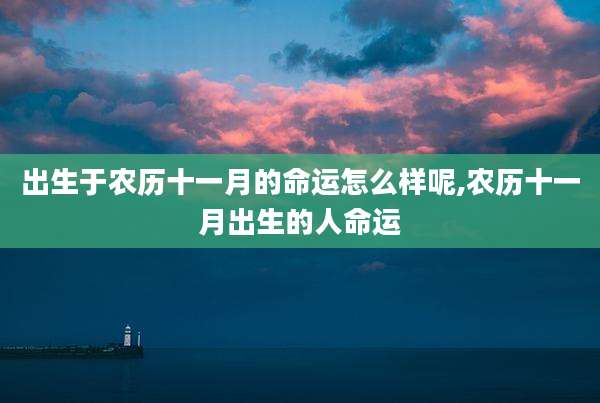 出生于农历十一月的命运怎么样呢,农历十一月出生的人命运