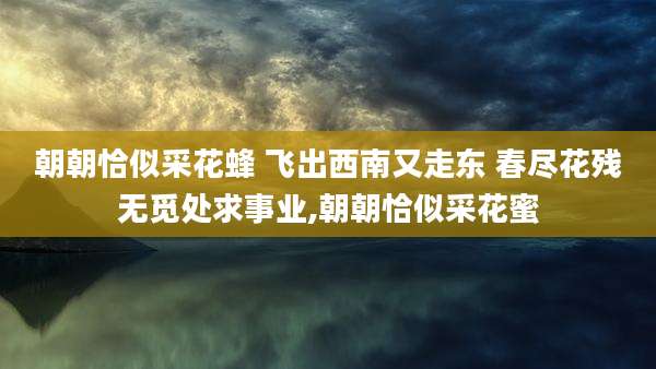 朝朝恰似采花蜂 飞出西南又走东 春尽花残无觅处求事业,朝朝恰似采花蜜