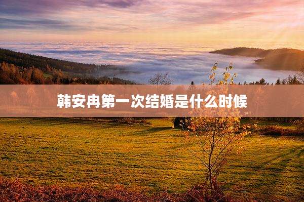 韩安冉第一次结婚是什么时候