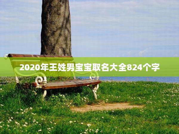 2020年王姓男宝宝取名大全824个字