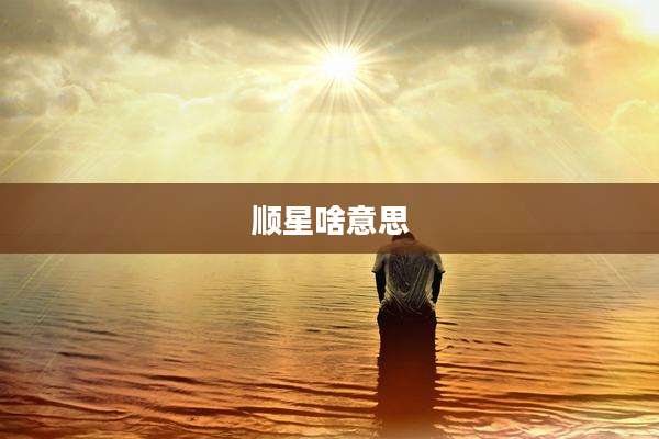 顺星啥意思