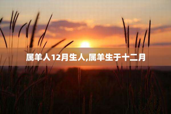 属羊人12月生人,属羊生于十二月