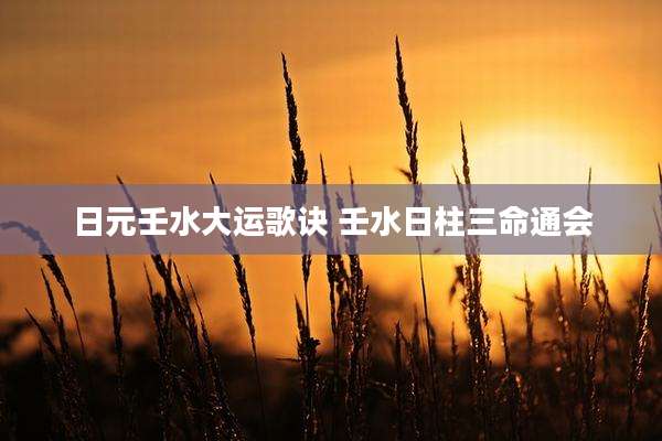 日元壬水大运歌诀 壬水日柱三命通会