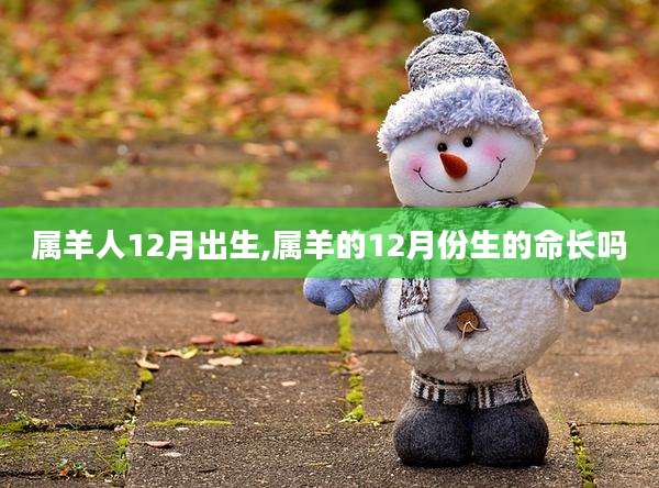 属羊人12月出生,属羊的12月份生的命长吗