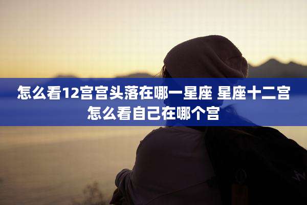 怎么看12宫宫头落在哪一星座 星座十二宫怎么看自己在哪个宫