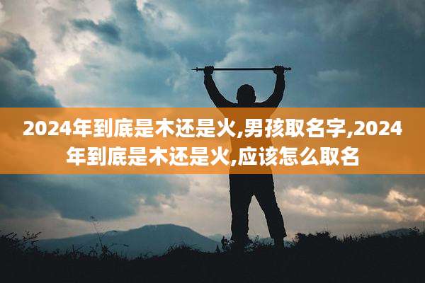 2024年到底是木还是火,男孩取名字,2024年到底是木还是火,应该怎么取名