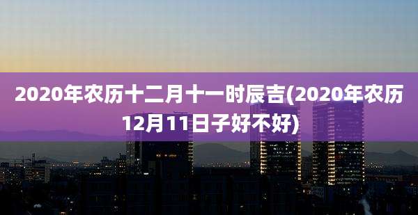 2020年农历十二月十一时辰吉(2020年农历12月11日子好不好)
