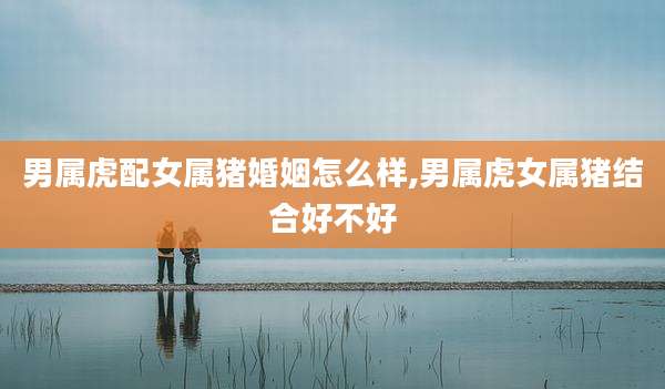 男属虎配女属猪婚姻怎么样,男属虎女属猪结合好不好